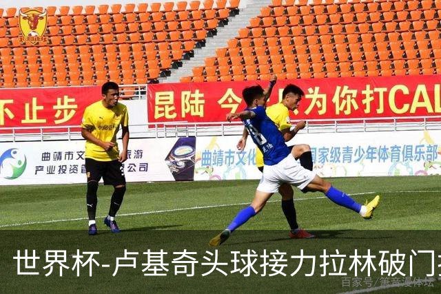 世界杯-卢基奇头球接力拉林破门扳平 加拿大1-1波黑