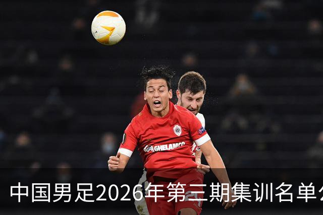 中国男足2026年第三期集训名单公布 武磊回归