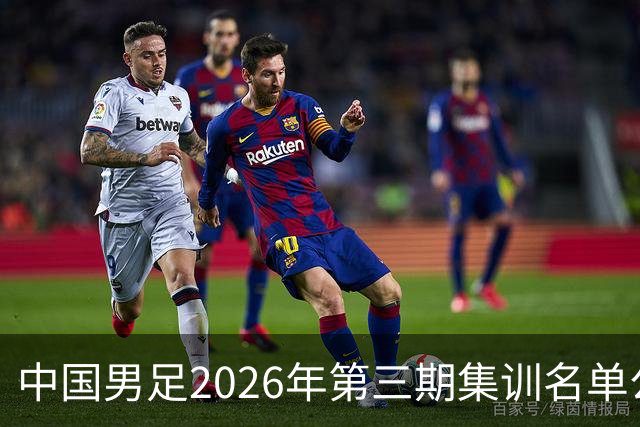 中国男足2026年第三期集训名单公布 武磊回归