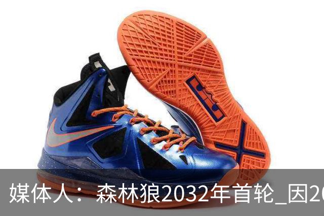 媒体人：森林狼2032年首轮 因2024-25赛季超过第二土豪线而被冻结