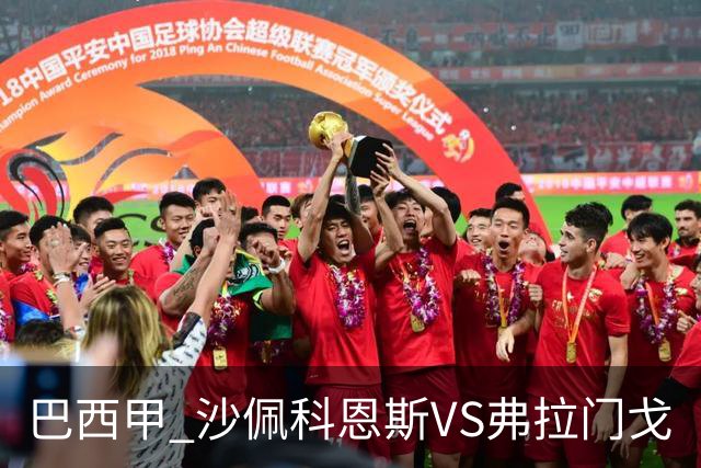 巴西甲 沙佩科恩斯VS弗拉门戈