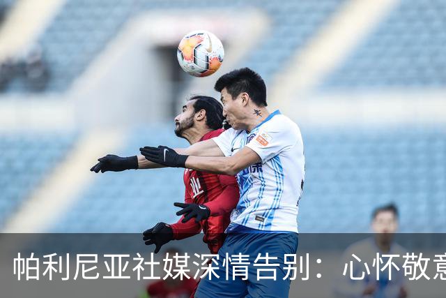 帕利尼亚社媒深情告别：心怀敬意与感恩，我向热刺家人们正式道别
