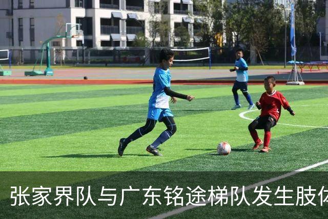 张家界队与广东铭途梯队发生肢体冲突，湖南省足协：暂停涉事人员参加省内一切足球活动