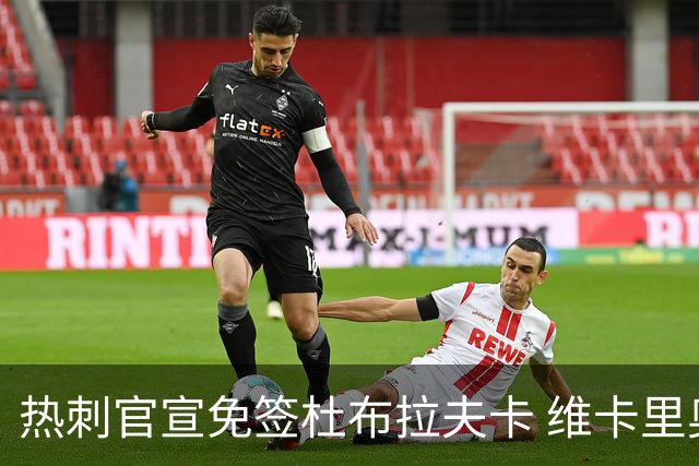 热刺官宣免签杜布拉夫卡 维卡里奥接近离队意甲双雄有意