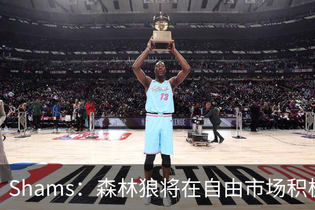 Shams：森林狼将在自由市场积极补强4号位 但他们只能提供底薪